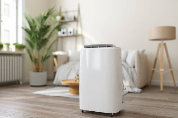 Best Best HVAC companies  in Mount Dora, FL